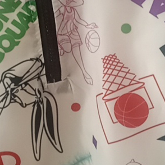 Windbreaker - Picture 3 of 11